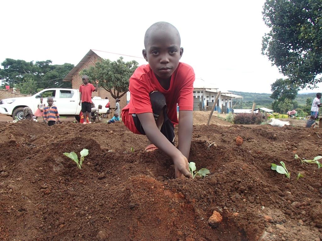 180017 - Uganda: orti nelle scuole