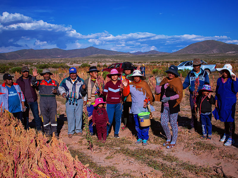 220043 - Bolivia: I camion consentono ai piccoli agricoltori di commercializzare la quinoa