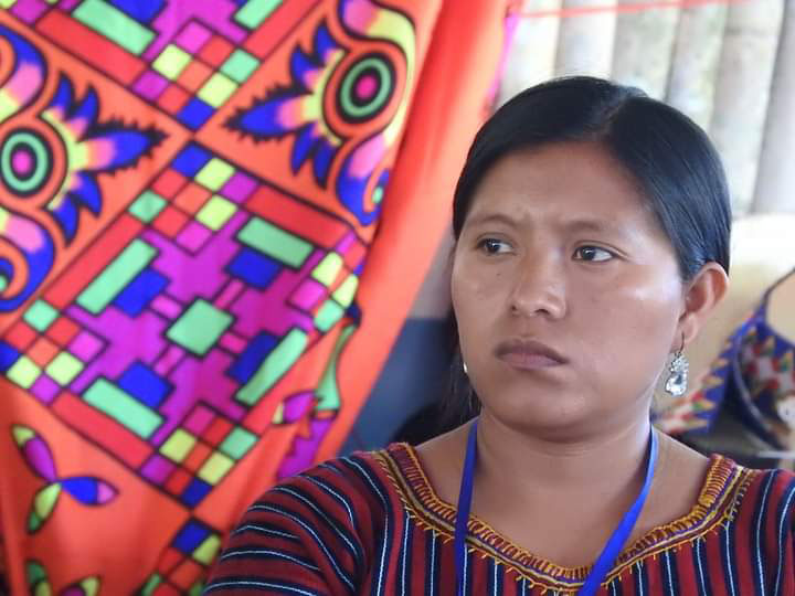 220054 - Guatemala: promuovere l'impegno politico per i diritti degli indigeni 