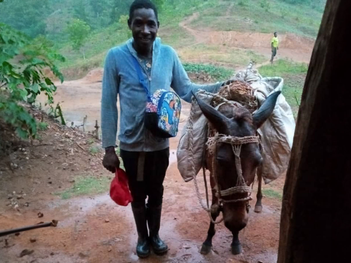 220018 - Haiti: i muli sono l'unico mezzo di trasporto